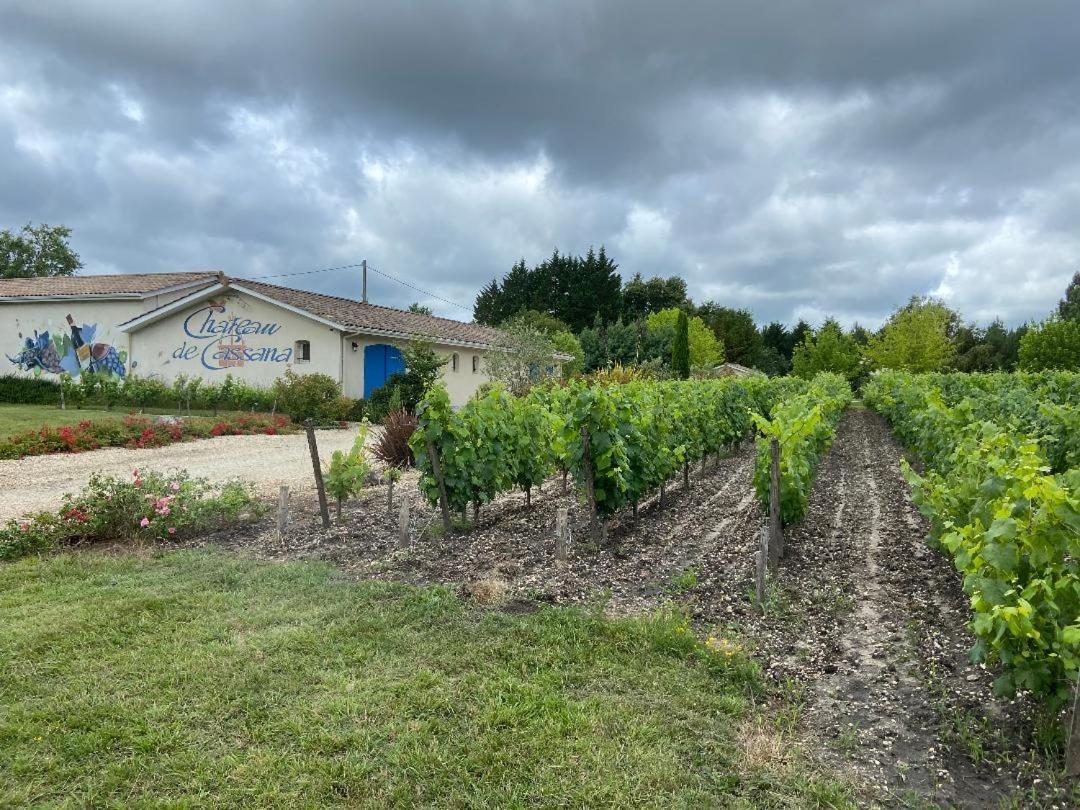 Domaine Du Cassana Villa Saint-Sauveur  ภายนอก รูปภาพ